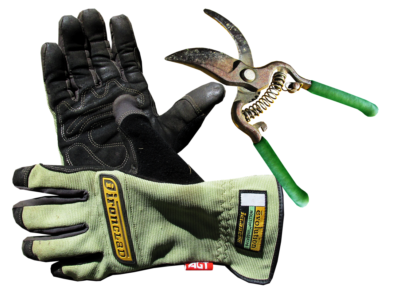 garden, gloves, tool-3277053.jpg