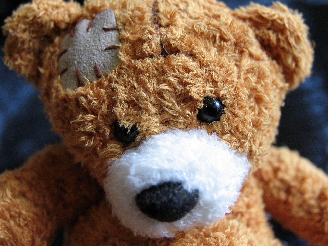 plush teddy bear, bear, injury-1082525.jpg