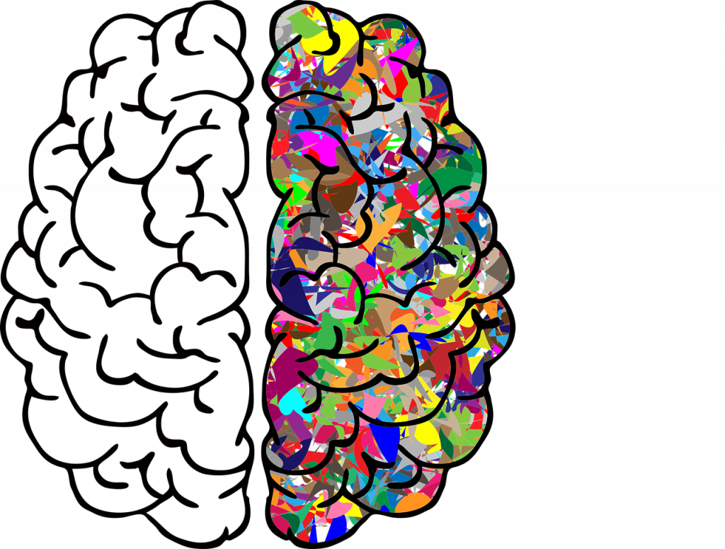 brain, mind, anatomy-2750415.jpg