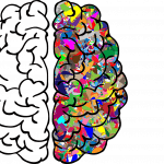 brain, mind, anatomy-2750415.jpg