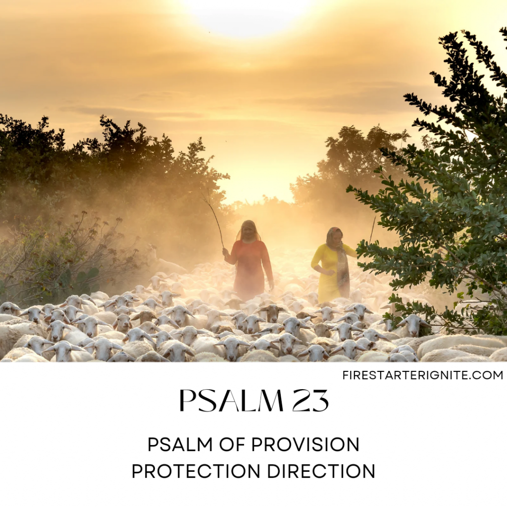 Psalm 23 | Psalm of Provision & Protection