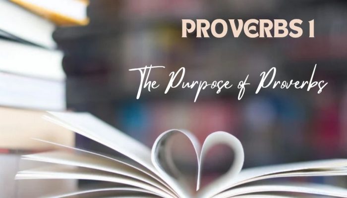 Proverbs 1 | The Purpose of Wisdom