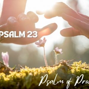Psalm 23 | Psalm of Provision & Protection