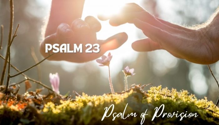 Psalm 23 | Psalm of Provision & Protection