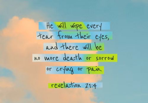 New Beginings